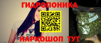 стафф Аргун