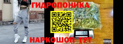 стафф Аргун