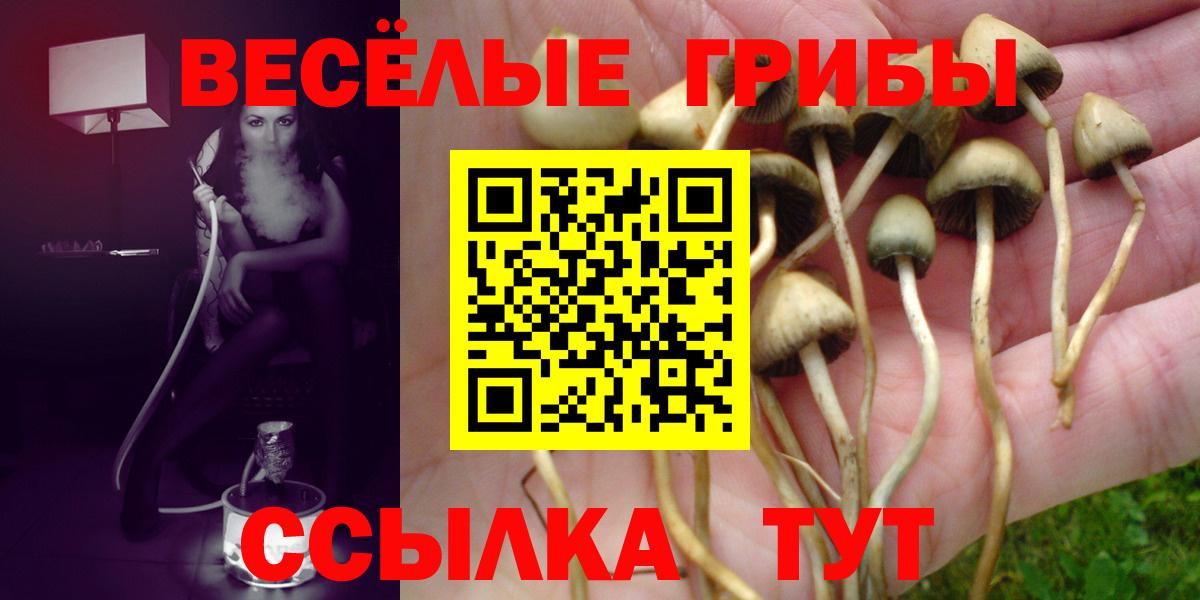 Братск  купить закладку  Псилоцибиновые грибы прущие грибы  Вход с VPN  Галлюциногенные грибы Magic Shrooms 